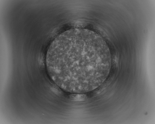 X0000112350663200909101044