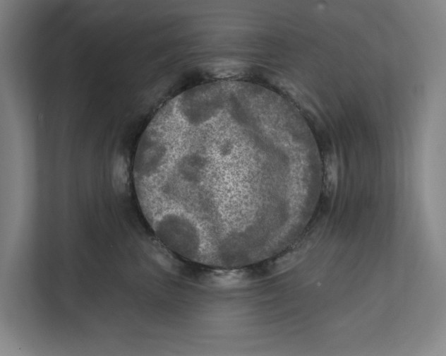 X0000112350667200909101044