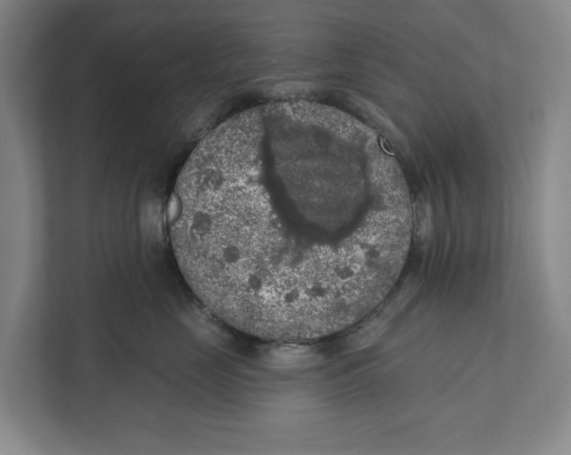 X0000112350669200909101044