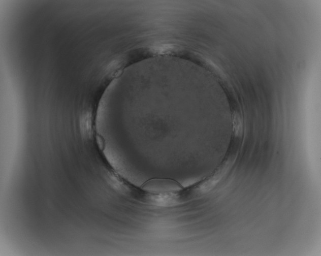 X0000112350670200909101044