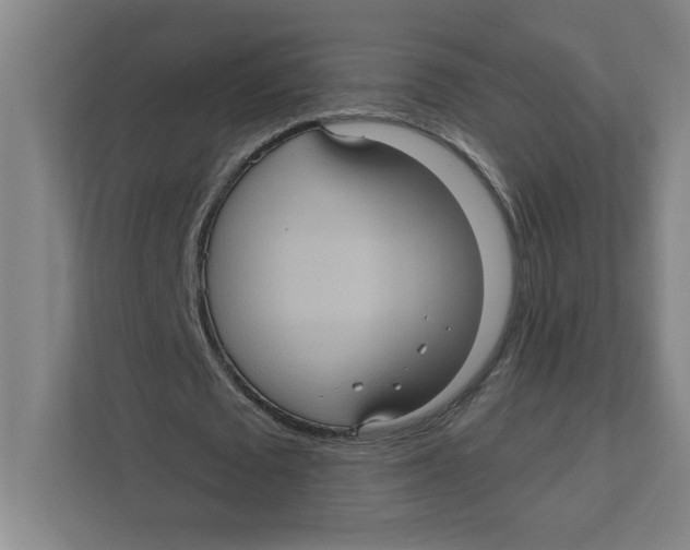 X0000112350673200909101044