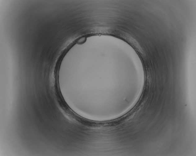 X0000112350674200909101044