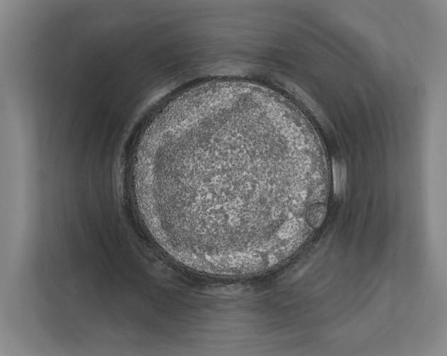 X0000112350675200909101044