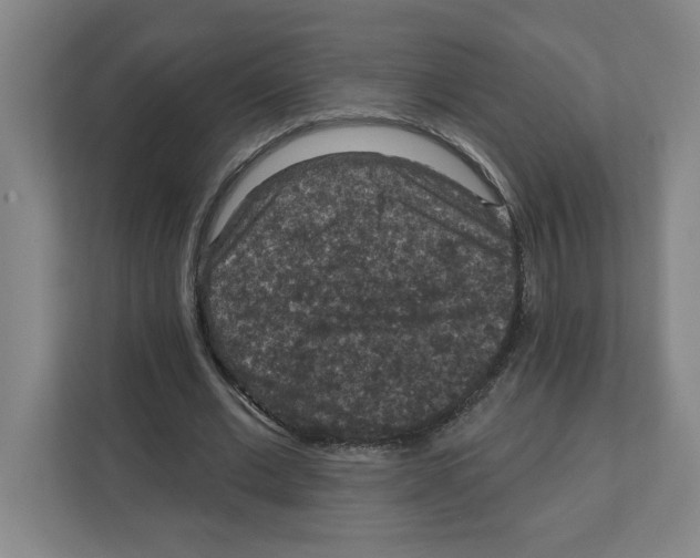 X0000112350677200909101044