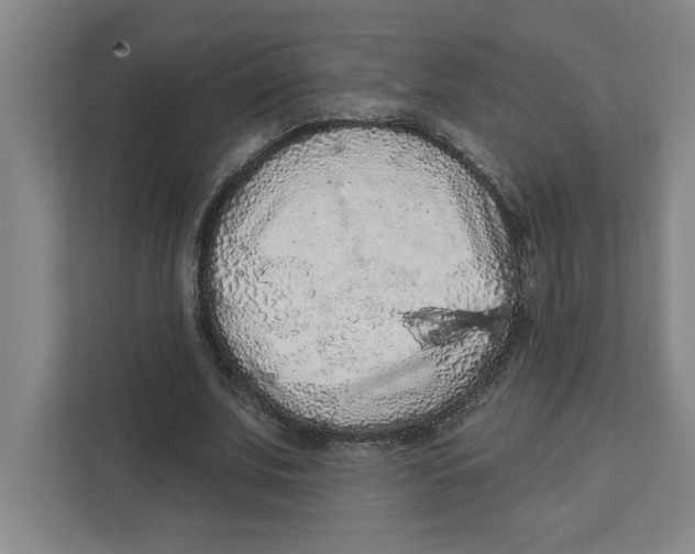 X0000112350679200909101044