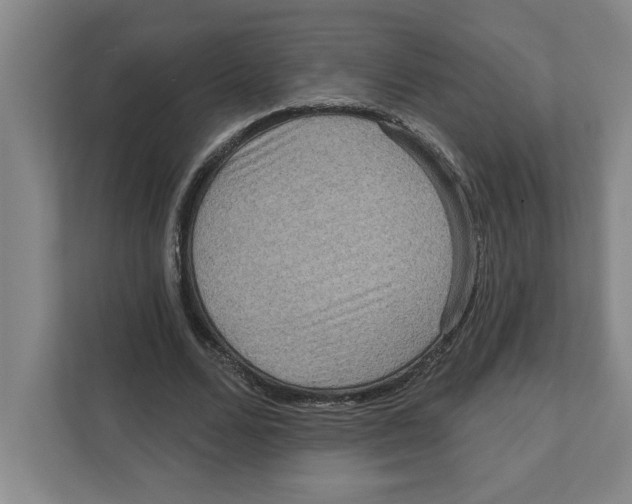 X0000112350680200909101043