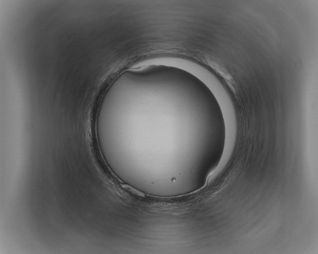 X0000112350681200909101043