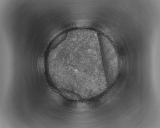 X0000112350684200909101043