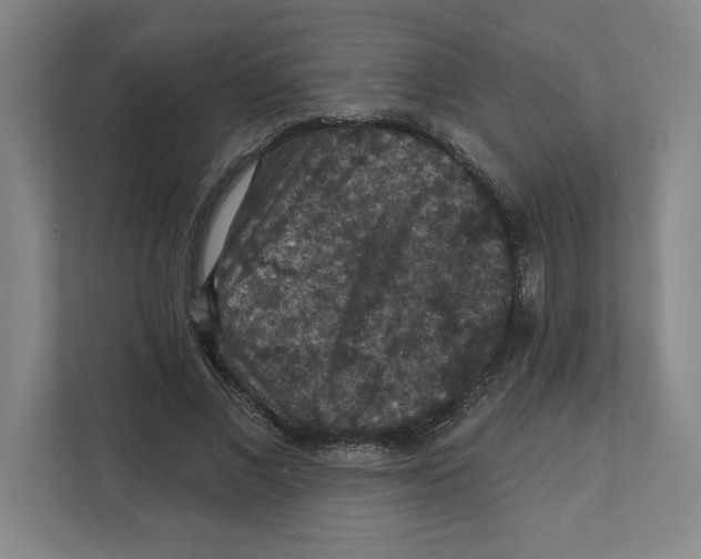 X0000112350685200909101043