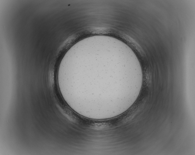 X0000112350686200909101043