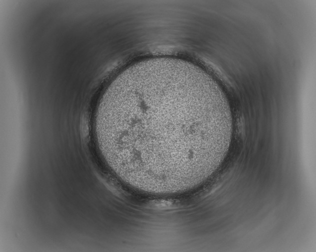 X0000112350687200909101043