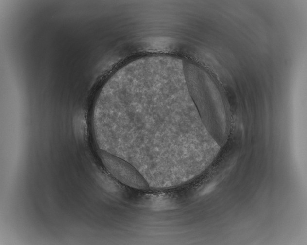 X0000112350688200909101043