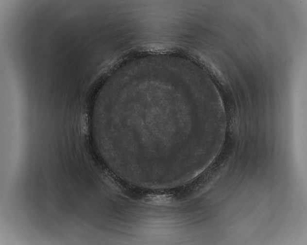 X0000112350689200909101043