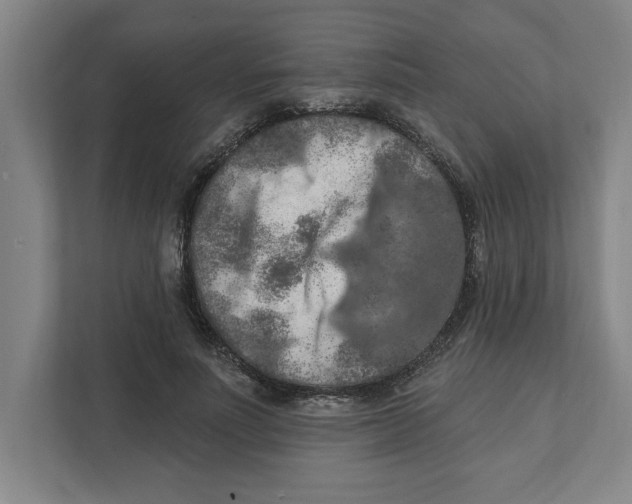 X0000112350691200909101043