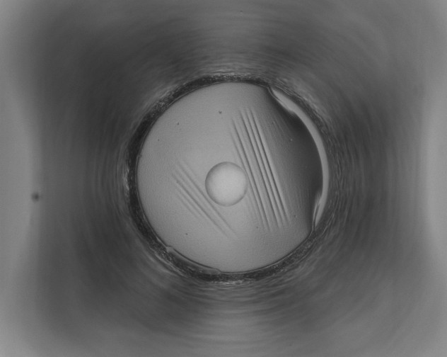 X0000112350692200909101043