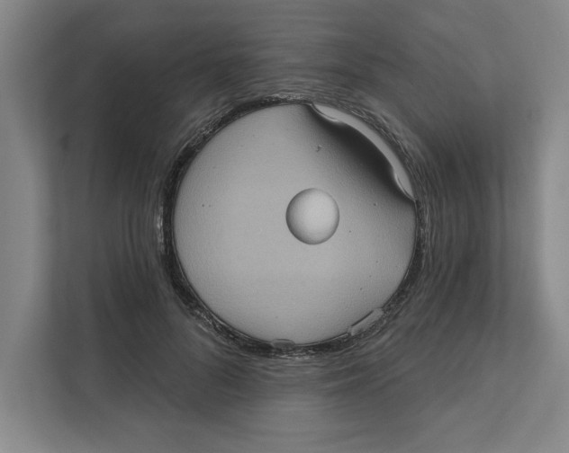 X0000112350696200909101043