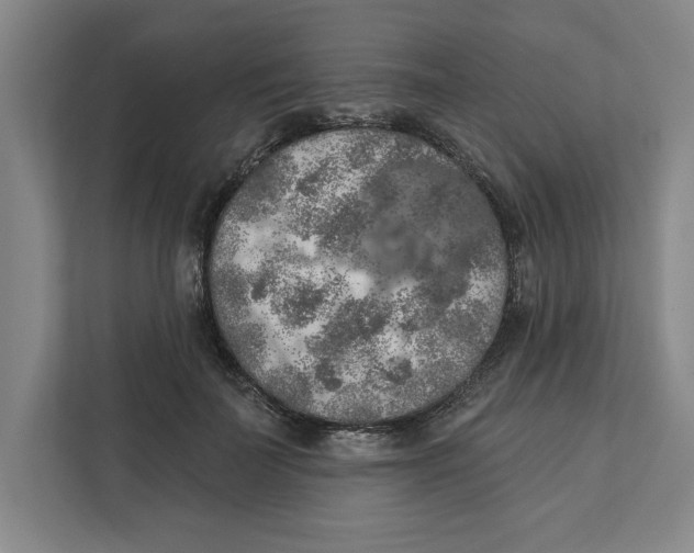 X0000112350699200909101043