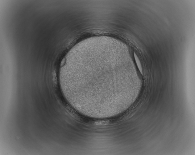 X0000112350700200909101043