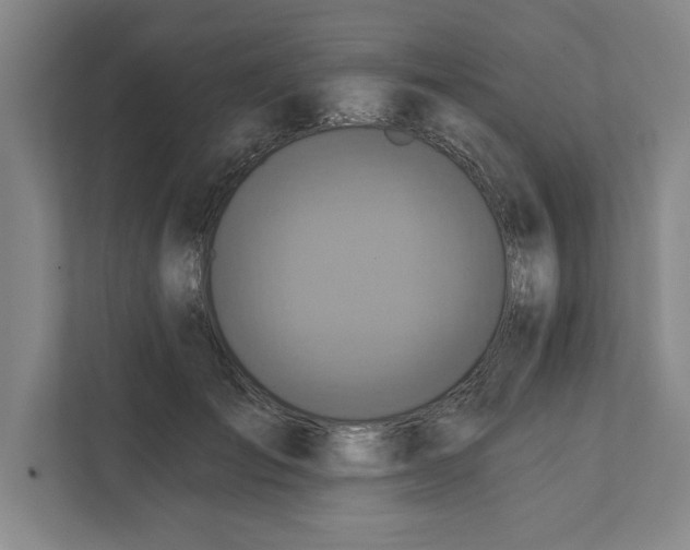 X0000112350701200909101043