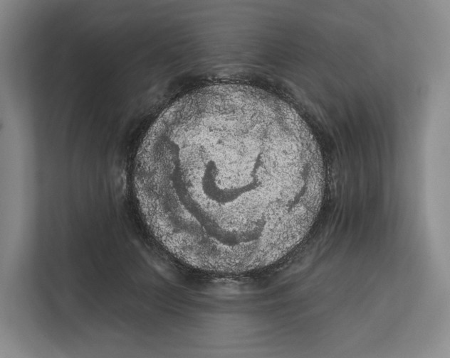 X0000112350703200909101043