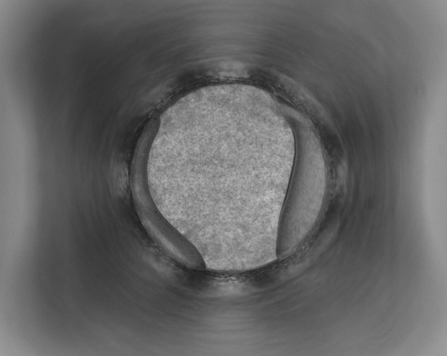 X0000112350704200909101043