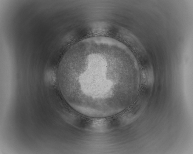 X0000112350705200909101043