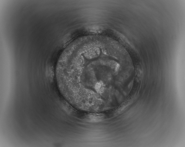 X0000112350707200909101043