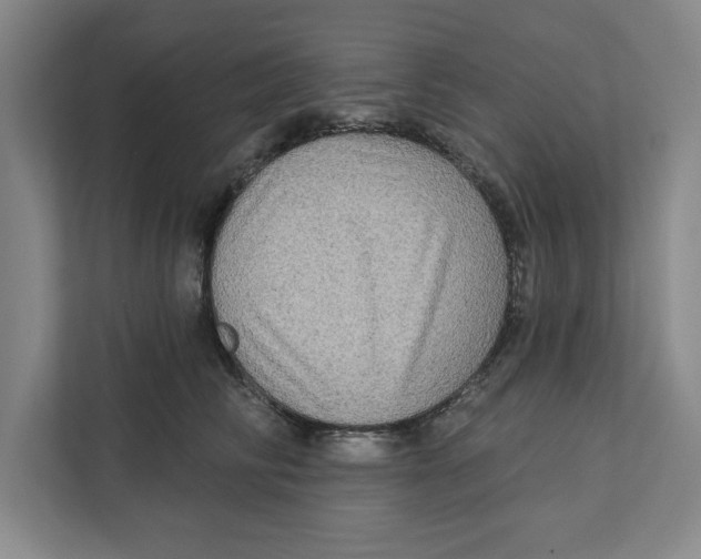 X0000112350710200909101043