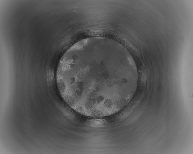 X0000112350711200909101043