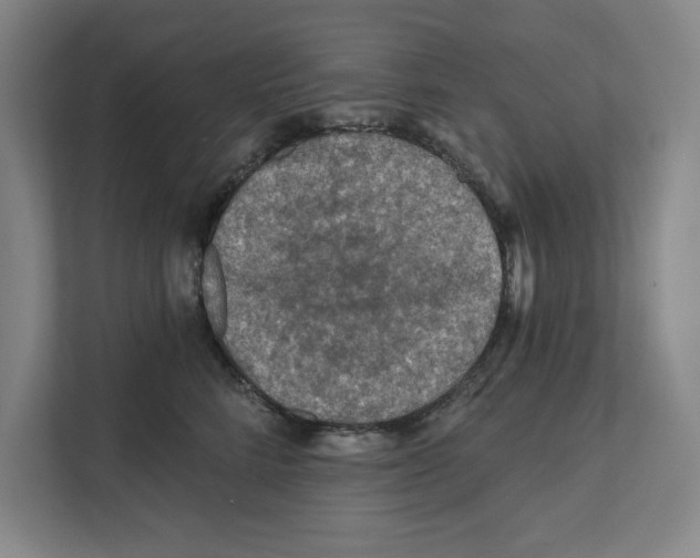 X0000112350712200909101043