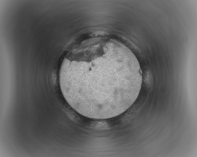 X0000112350715200909101043