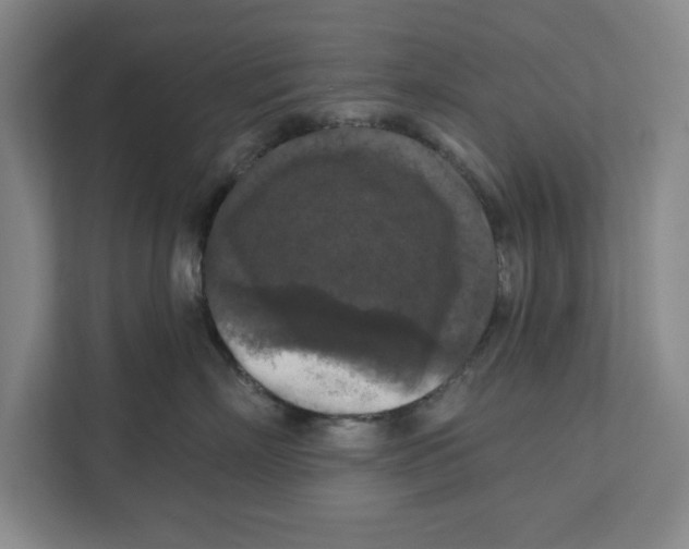 X0000112350718200909101043