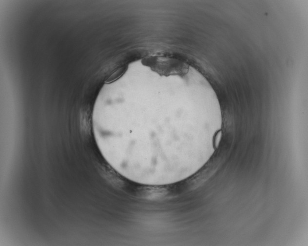 X0000112350719200909101043