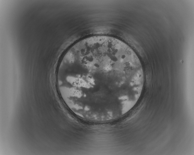 X0000112350721200909101042