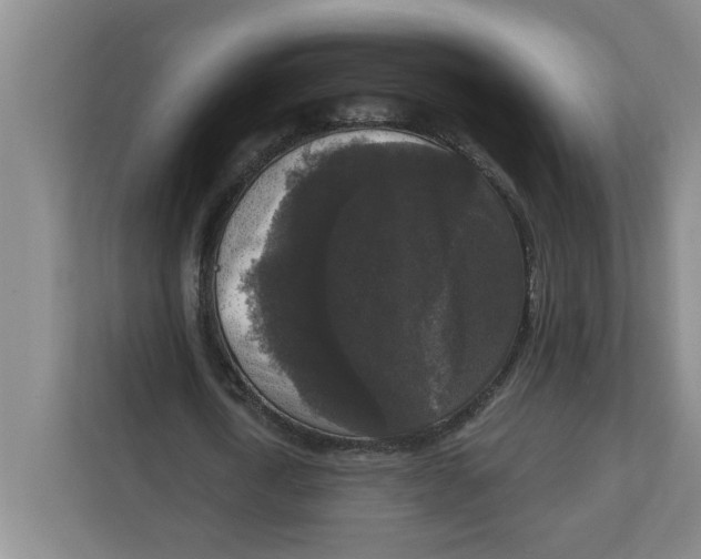 X0000112350722200909101042