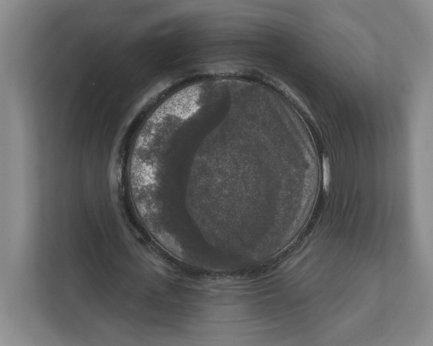 X0000112350723200909101042