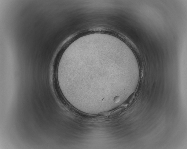 X0000112350724200909101042