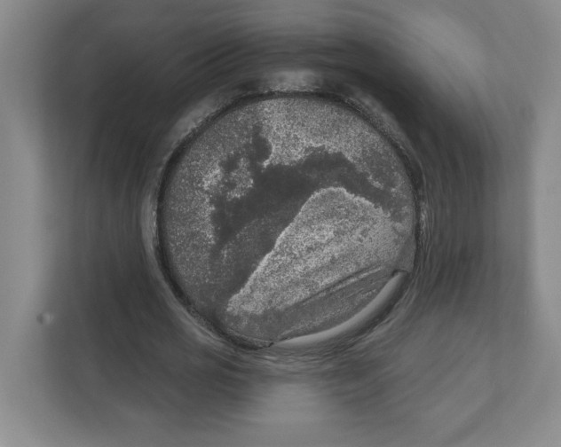 X0000112350725200909101042