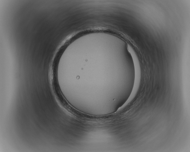 X0000112350726200909101042