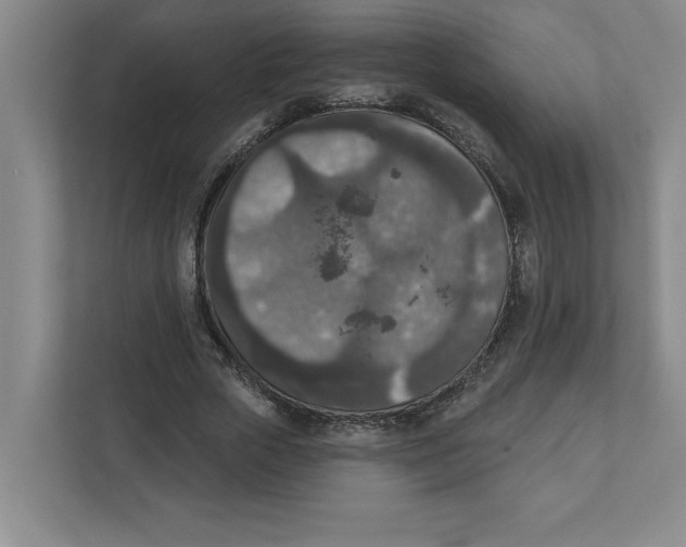 X0000112350729200909101042