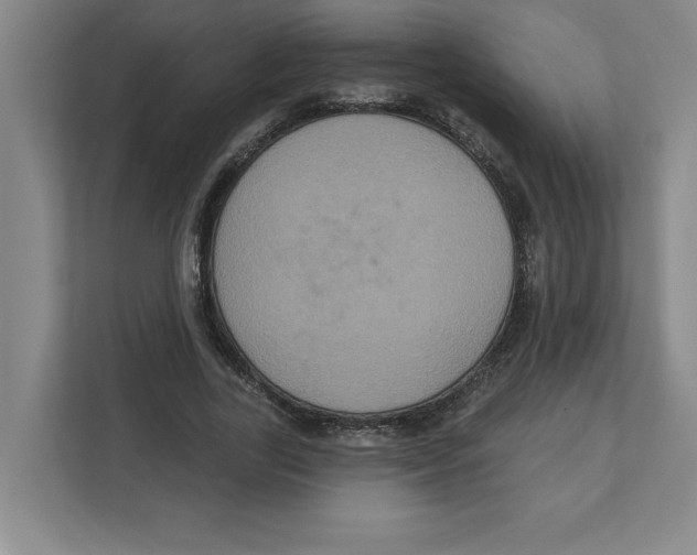 X0000112350731200909101042