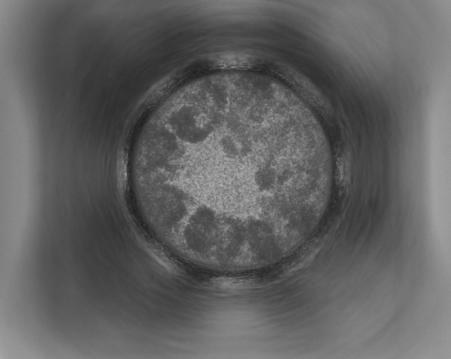 X0000112350733200909101043