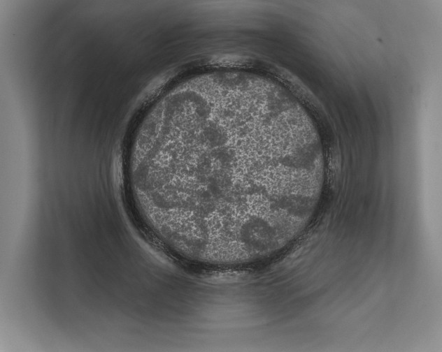 X0000112350734200909101043