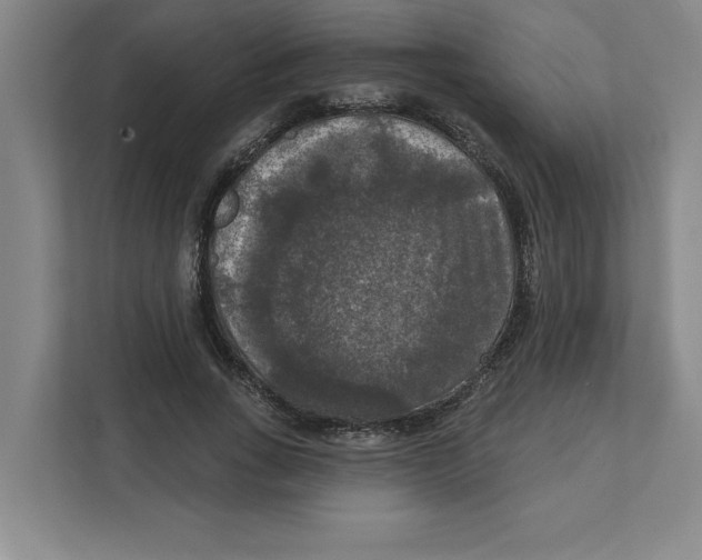 X0000112350735200909101043