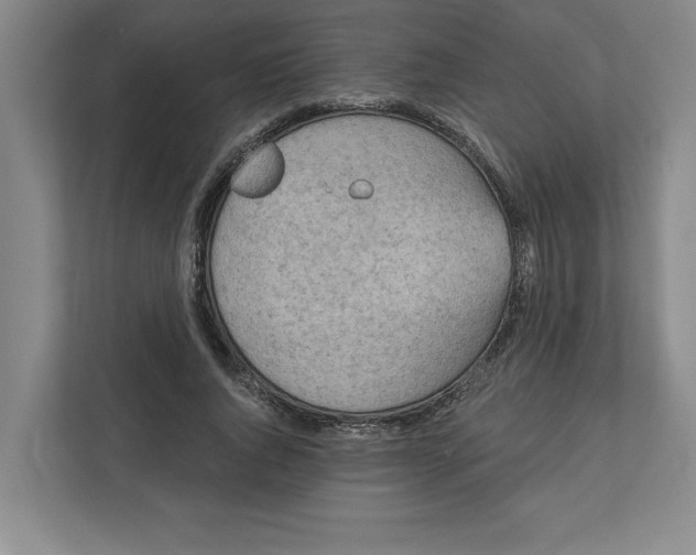 X0000112350736200909101043