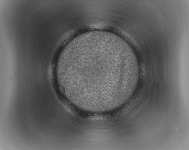 X0000112350738200909101043