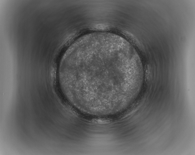 X0000112350739200909101043