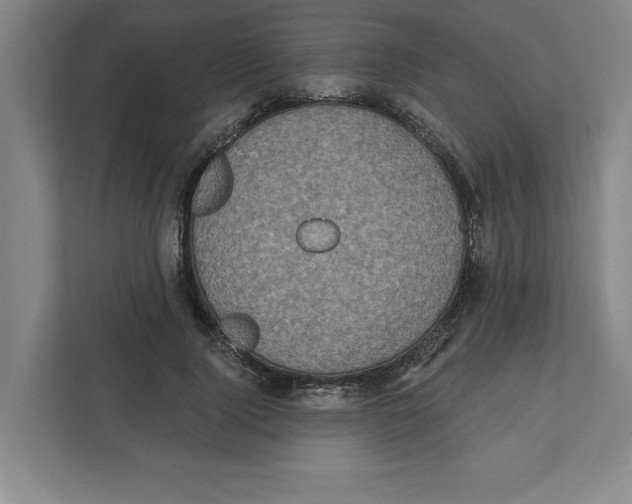 X0000112350740200909101043