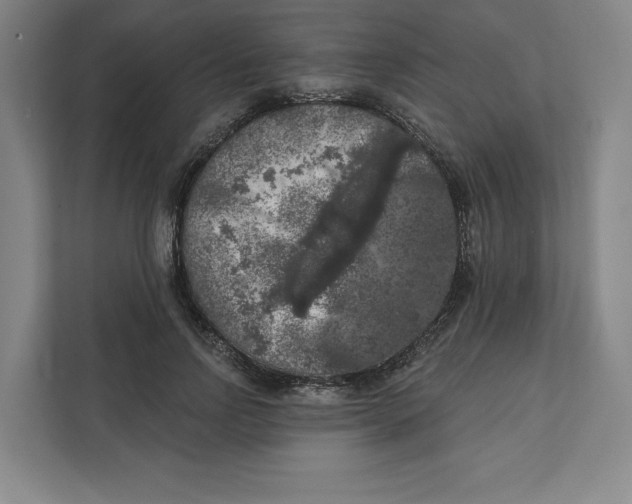 X0000112350742200909101043