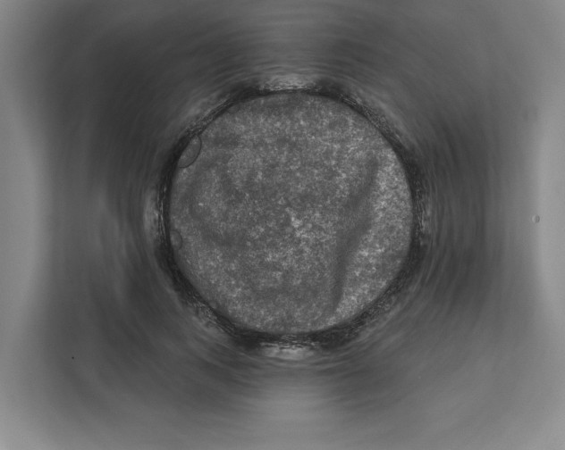 X0000112350743200909101043